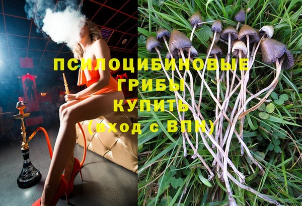 а пвп мука Алзамай