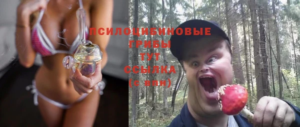 крисы Алексеевка