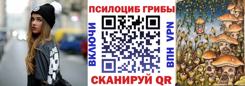 Псилоцибиновые грибы Psilocybine cubensis  Дно 